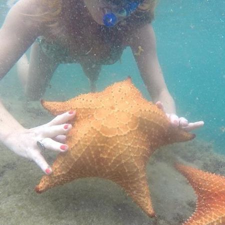 Kitnet Aconchegante A 200M Da Praia Apartman Angra dos Reis Kültér fotó
